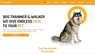 Dog Trainner & Walker